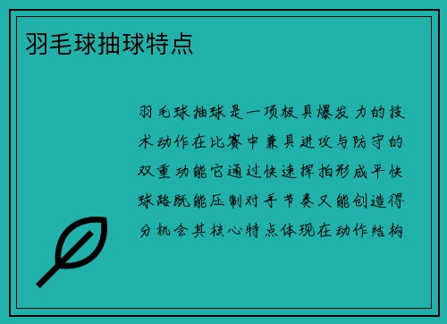 羽毛球抽球特点