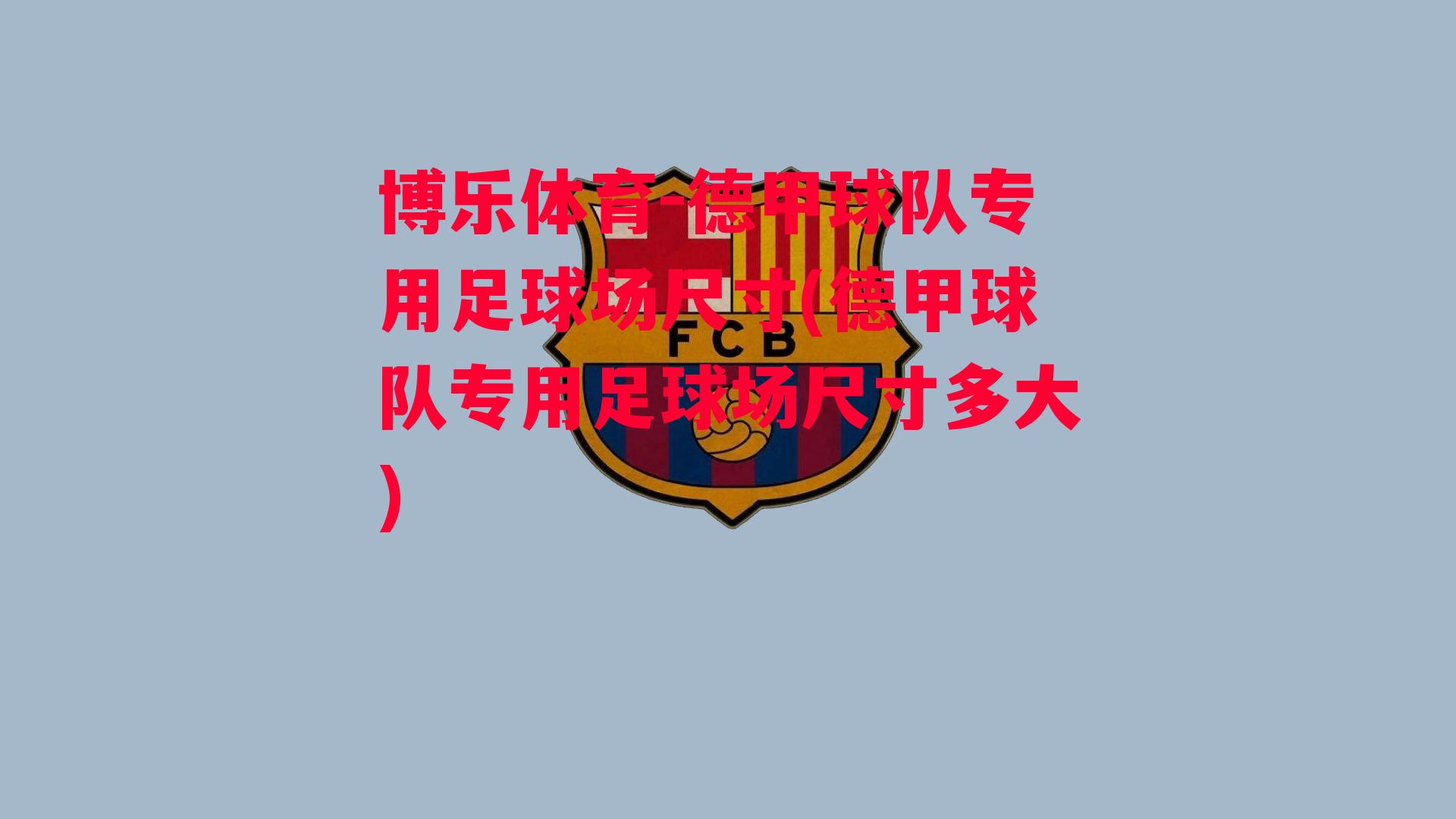 博乐体育-德甲球队专用足球场尺寸(德甲球队专用足球场尺寸多大)